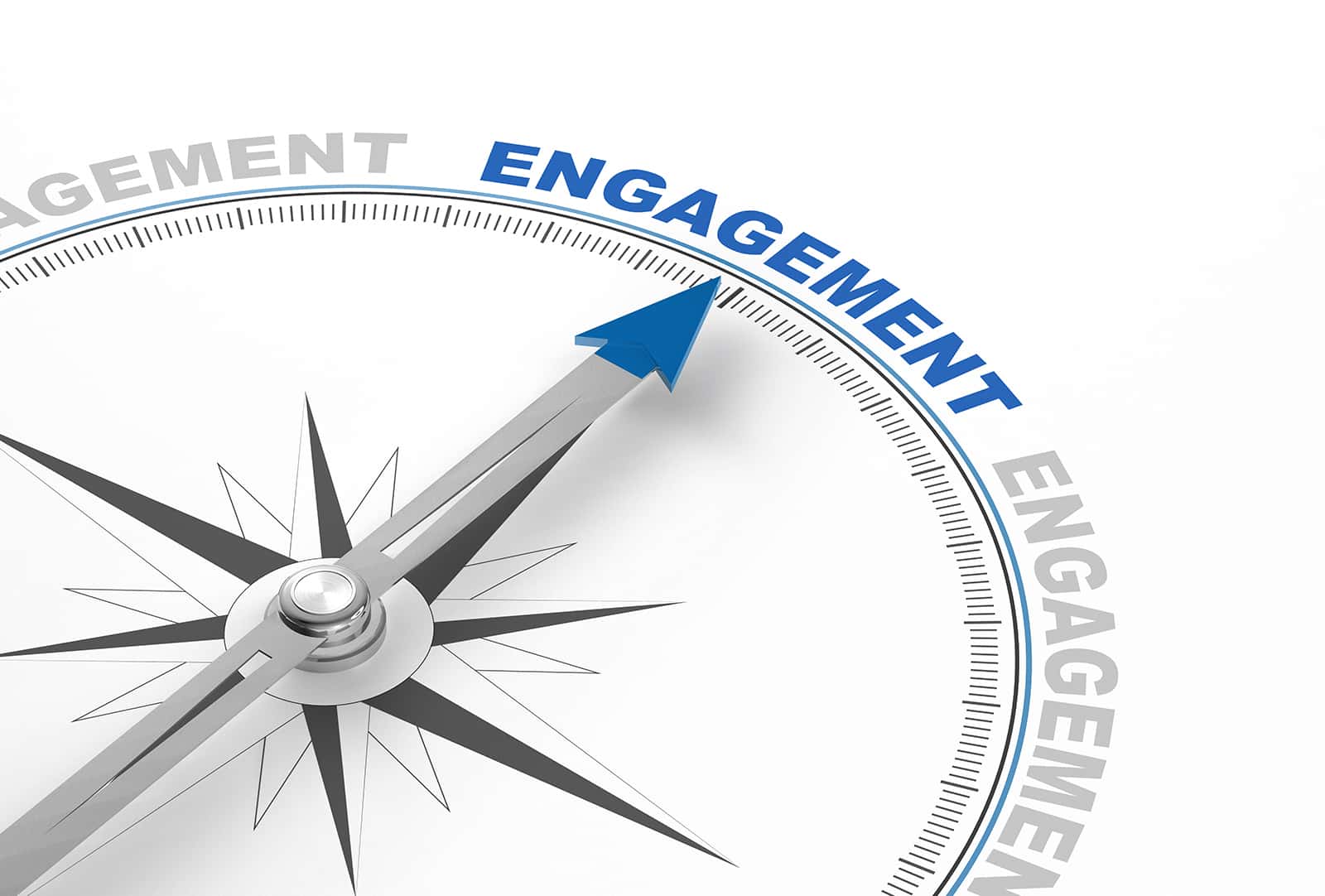 dpaies qui sommes nous valeurs engagements 1
